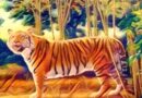 teste-do-tigre-revela-algo-importante-da-sua personalidade