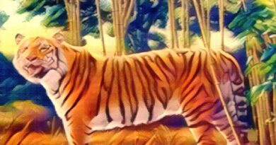 teste-do-tigre-revela-algo-importante-da-sua personalidade