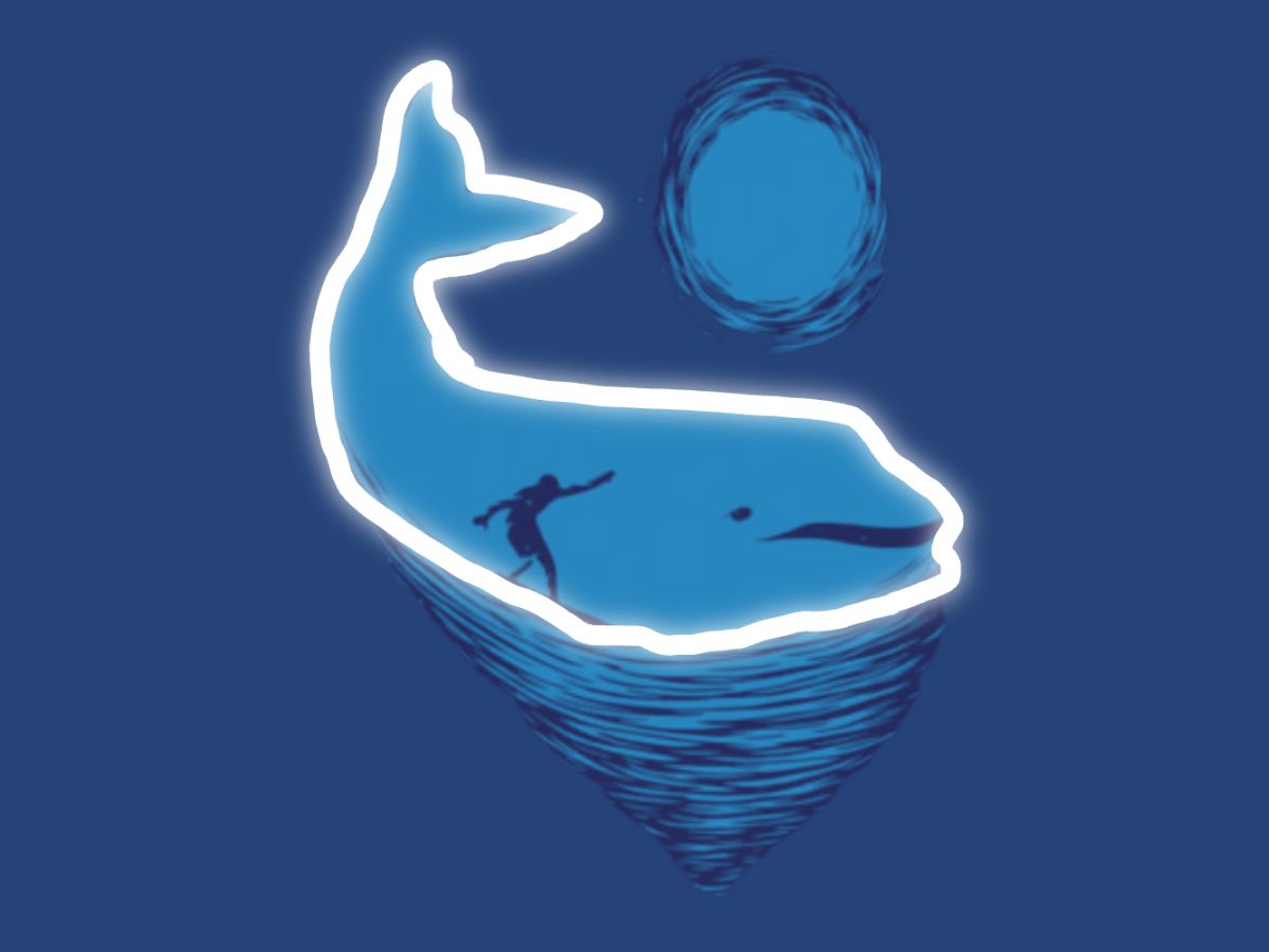 teste-visual-o-poder-da-percepção-baleia