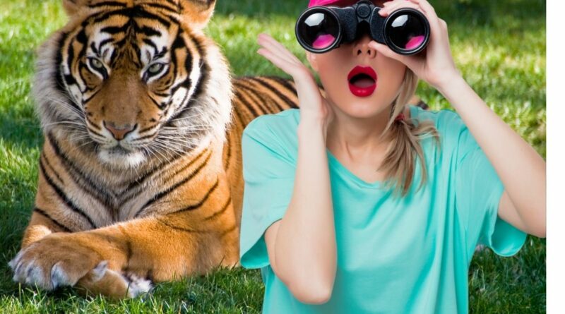 Teste visual, você é capaz de achar os tigres na imagem